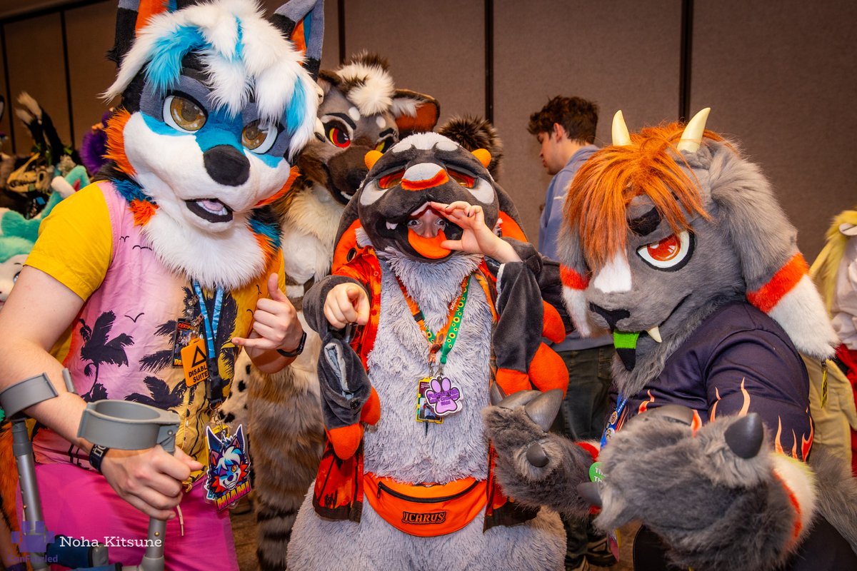 Now the ConFuzzled photos are finally up...

We want to thank, once again, EVERYONE who attended the TikTokFurs panel (at CFz) despite what we had to work with in terms of space. 
And a massive thank you to <a href="/Noha_Kitsune/">Noha Kitsune (LF PhotoFox)</a> for the shots!

Full CFz Gallery: photos.confuzzled.org.uk/confuzzled-2025