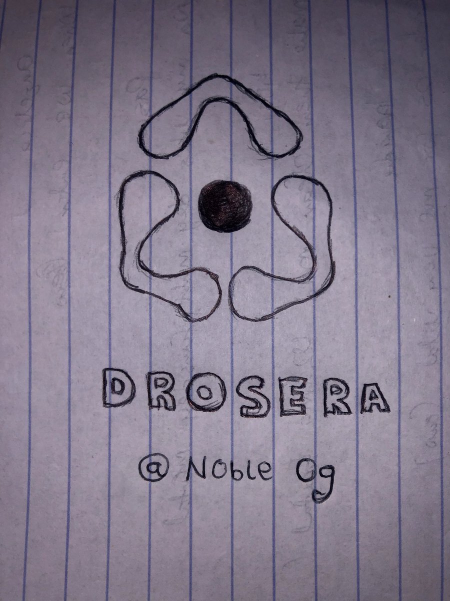 nursenoble1's tweet image. Check out my first artwork of Drosera! 🎨 A hand-drawn masterpiece (or mess-terpiece?) featuring a funky flower logo. Inspired by the security automation layer on Ethereum. @NeptunSol @Noble_Og #Drosera #ArtFail #EthereumSecurity