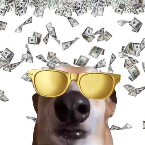 <a href="/Blxme/">Blame</a> Dafuk you want to pump

@DafukonSolana is ready to send