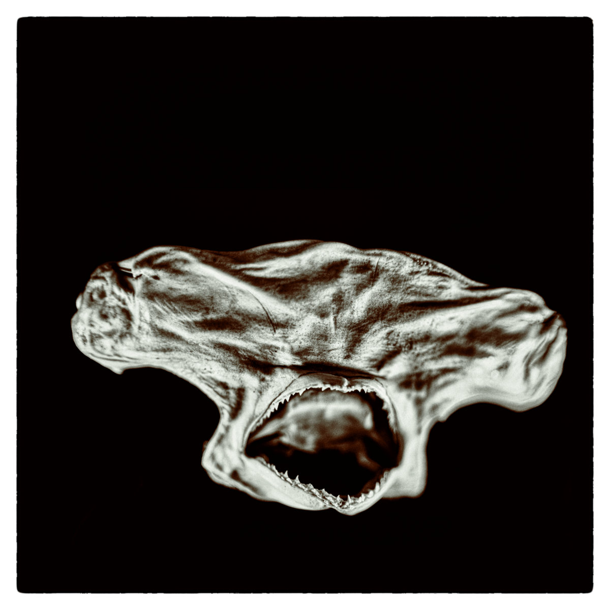 La banda Clone publica su nuevo EP "Care To Try" que se editó el 03 de octubre a través de <a href="/littlecloudrec1/">Little Cloud Records</a>  
<a href="/ShamelessPR_/">Shameless Promotion PR</a>  <a href="/shamelessbuzz/">Shameless Buzz</a> <a href="/deadleafecho/">dead leaf echo</a> 
#postpunk

Puedes escucharlo en nuestro blog
revistathe13th.blogspot.com/2025/10/lanzam…