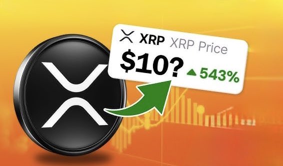 XRPALDIA tweet media