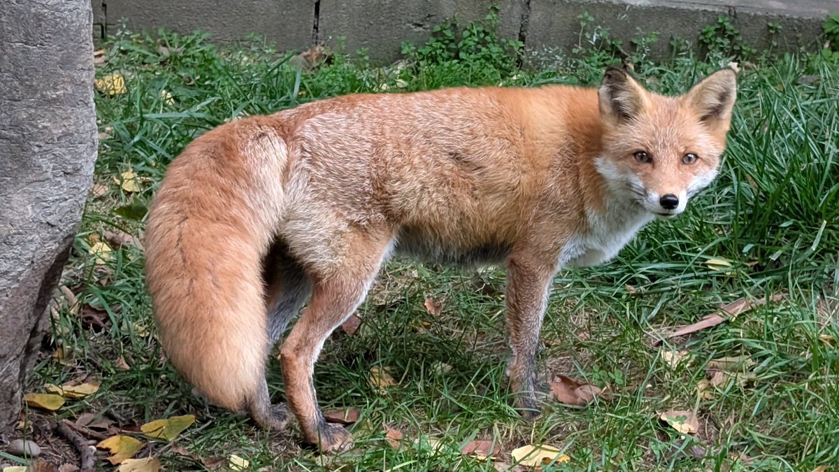 MARCY (@marcy_com) / X