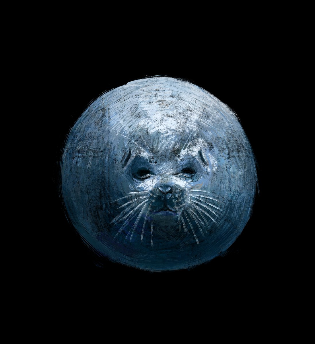 seal moon