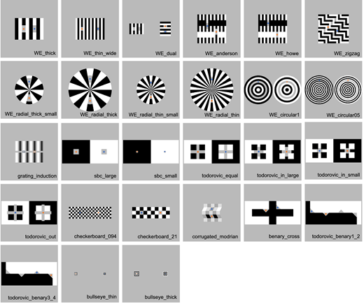 Journal of Vision (@arvojov) on Twitter photo Yuki Kobayashi & Arthur G. Shapiro <a href="/AmericanU/">American University</a> describe relationships among lightness illusions uncovered by analyses of individual differences.
doi.org/10.1167/jov.25… Yuki Kobayashi & Arthur G. Shapiro <a href="/AmericanU/">American University</a> describe relationships among lightness illusions uncovered by analyses of individual differences.
doi.org/10.1167/jov.25…