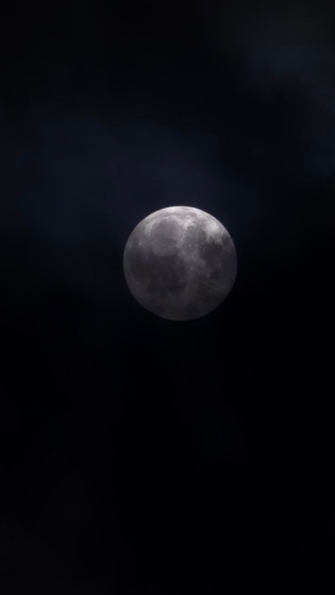 Алексей Шаламовский tweet media