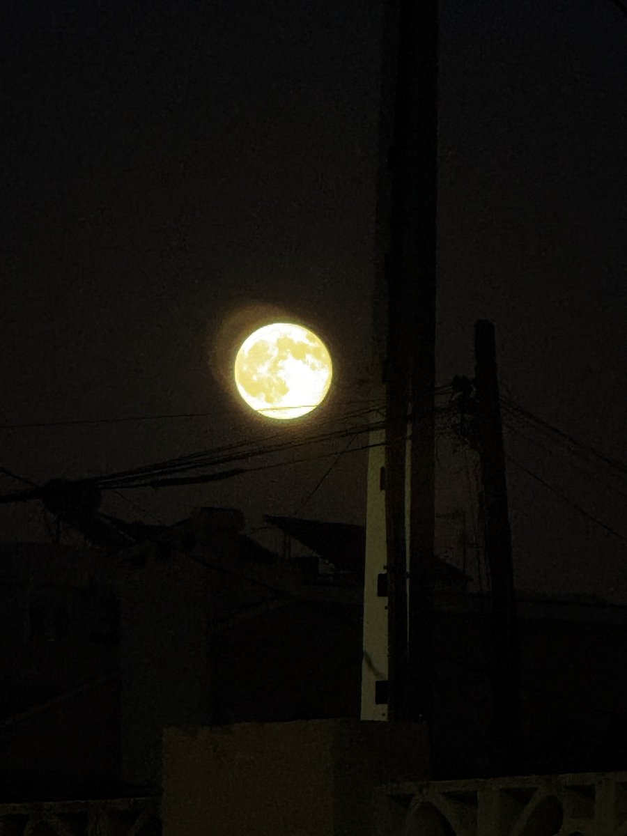 LuisMigueLMSL's tweet photo. Harvest Moon #moonlight 
¡Descubre la Harvest Moon: la luna llena que ilumina el otoño en el Hemisferio Norte! ￼ Es la luna llena más cercana al equinoccio. #HarvestMoon #LunaDeCosecha #OtoñoEuropeo https://t.co/HPLirr81Tx