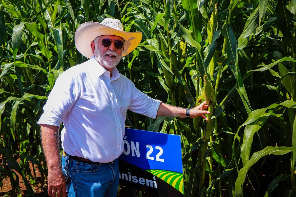 Ramón Ochoa Peña tweet media