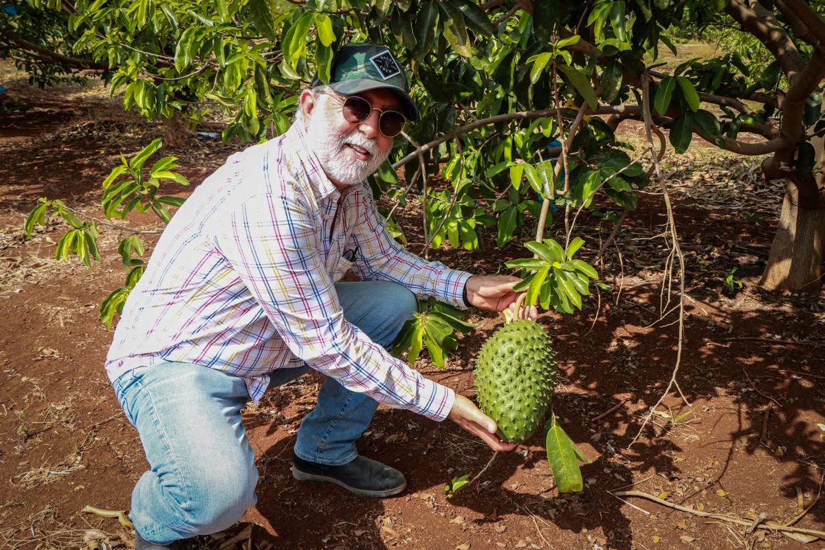 Ramón Ochoa Peña tweet media