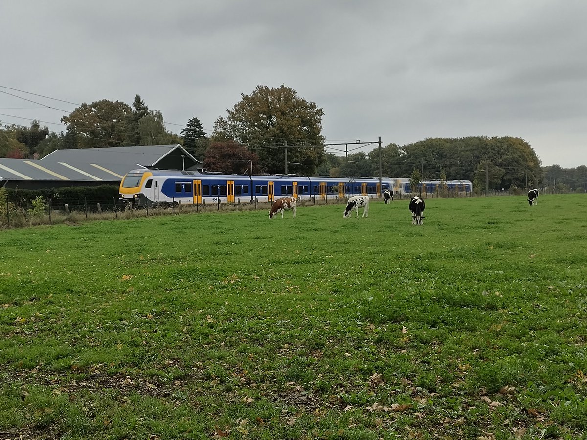 BULLRetrurn's tweet photo. Nog wat @NS_online #treinen gespot op #Landgoed #Biljoen in #Velp https://t.co/LWaaSsW7BU