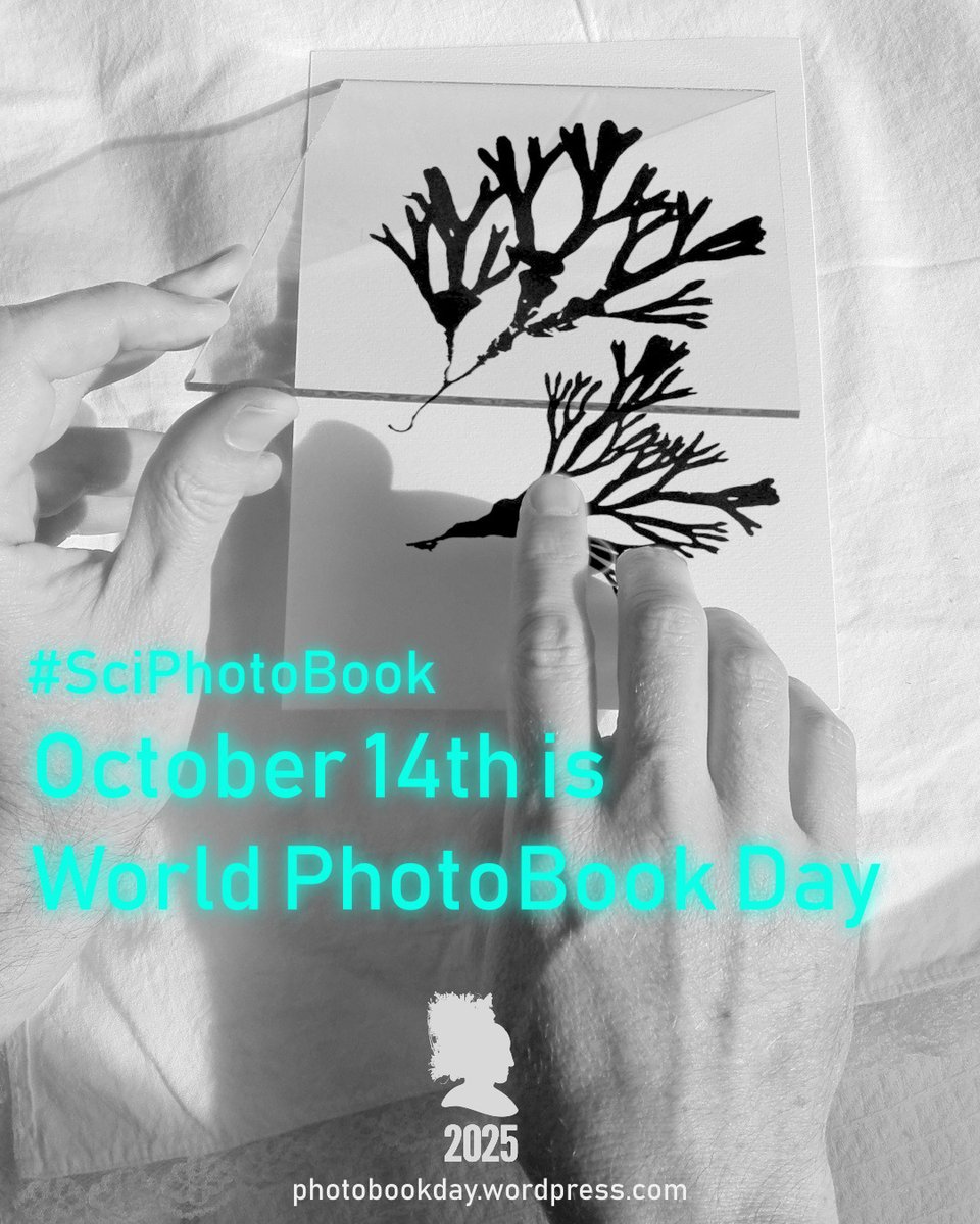 Miguel  Vidales (@miguel_vidales) on Twitter photo 