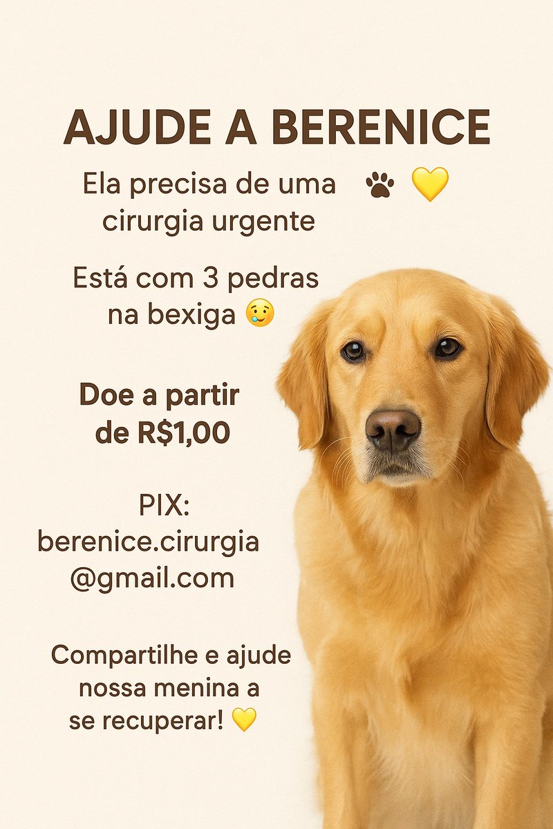 MadelonAlves1's tweet photo. 🚨 VAQUINHA SOLIDÁRIA – AJUDE A BERENICE!
Berenice, precisa fazer uma cirurgia urgente 
Criamos uma vaquinha solidária pra arrecadar o valor da cirurgia.
Qualquer ajuda, a partir de R$1,00, faz toda diferença!
PIX: berenice.cirurgia@gmail.com              https://t.co/QiLg962758 https://t.co/hETbMosz3b