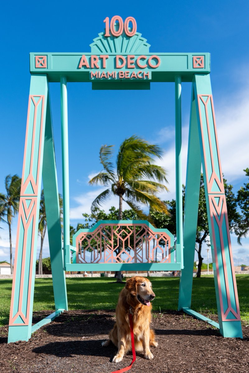 TheGoldenRatio4's tweet photo. Remi had a very good eye doctor checkup yesterday and then took a little excursion out to Miami Beach 🏝️ https://t.co/3GInUGUCjs