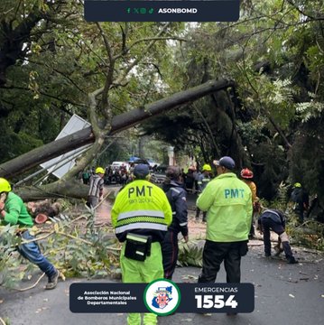 Multiple images show firefighters in green uniforms and helmets using chainsaws to cut a large fallen tree obstructing a road surrounded by lush green trees and foliage. Emergency vehicles and municipal staff in yellow vests assist in clearing logs and debris from the asphalt path. Overlays include ASONBOMD logo, emergency line 1554, and text about national firefighters association.