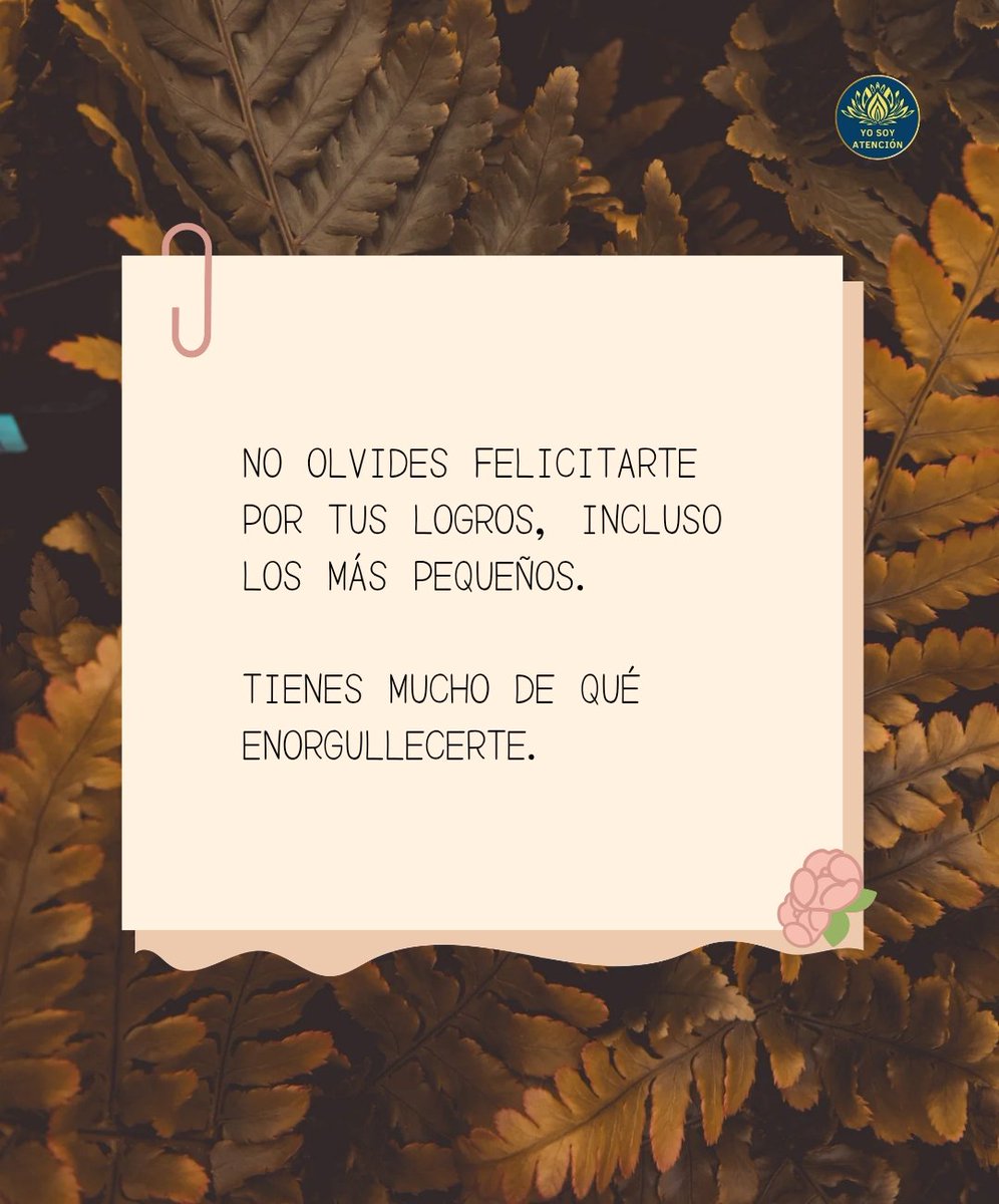 ✨✨