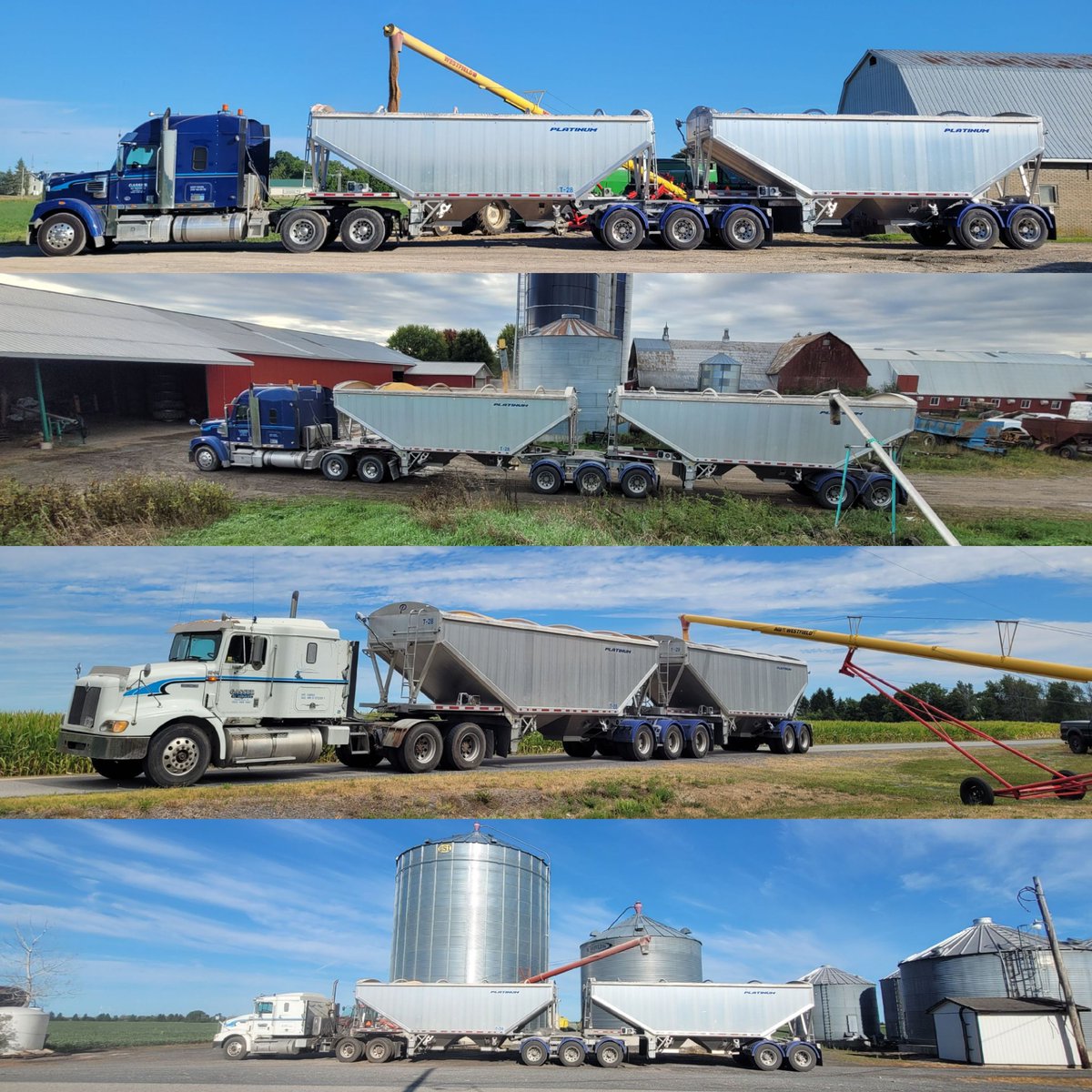 #GasserAgServices <a href="/MfgTrailer/">Platinum Trailer Mfg</a> <a href="/Allequiprepair/">All Equip Repair</a> Platinum Trailers look good in the shed, but even better when they're working. #HaulsMore #BuiltBetter
