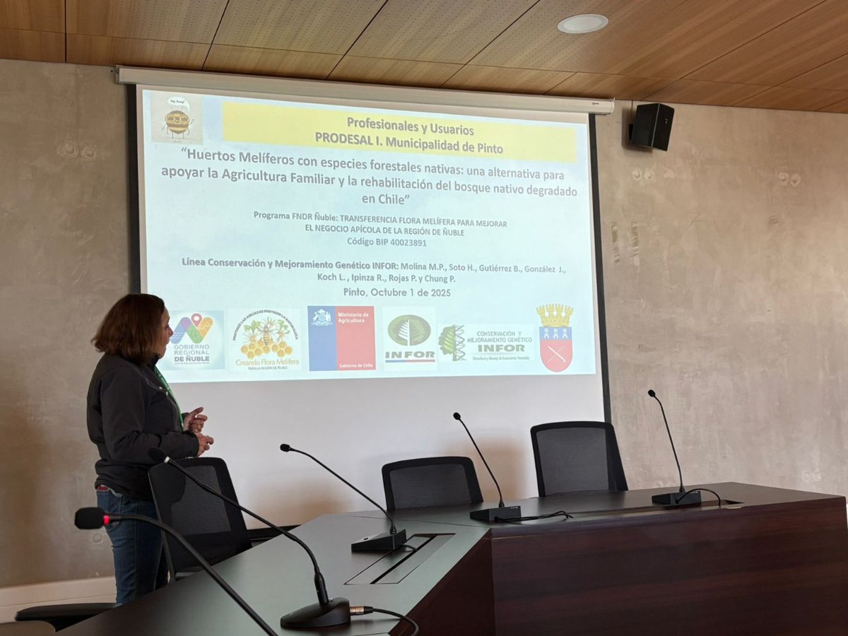 INFOR_Minagri's tweet photo. 📣 INFOR presenta Programa FNDR - Ñuble de Flora Melífera en la comuna de Pinto 🌿🌸🐝
✅️ A solicitud del Prodesal de la I. Municipalidad de Pinto, el equipo de INFOR, liderado por la investigadora María Paz Molina, dio a conocer el Programa FNDR - Ñuble de Flora Melífera, ➡️ https://t.co/tb90lGI7P0