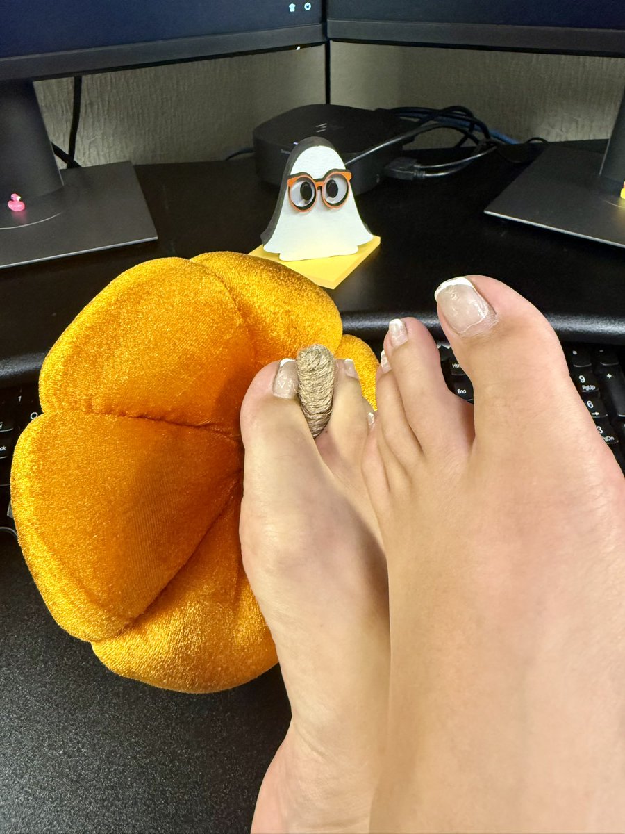 NaturalPaws's tweet photo. My ghostie enjoys the smell of my feet at work 🧡 https://t.co/MJy3oACWjx