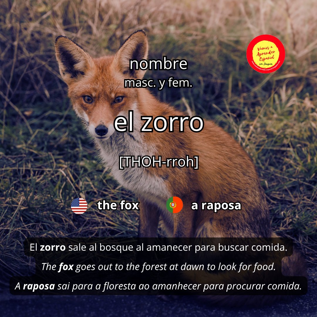 VAEspanol's tweet photo. Y vosotros, ¿sabíais que el zorro es símbolo de inteligencia en muchas culturas?
https://t.co/6wgKUSOXRA
#spanishvocabulary #spanishbasics #easyspanish #learnspanish #spanishteacher https://t.co/axb99LOH5R