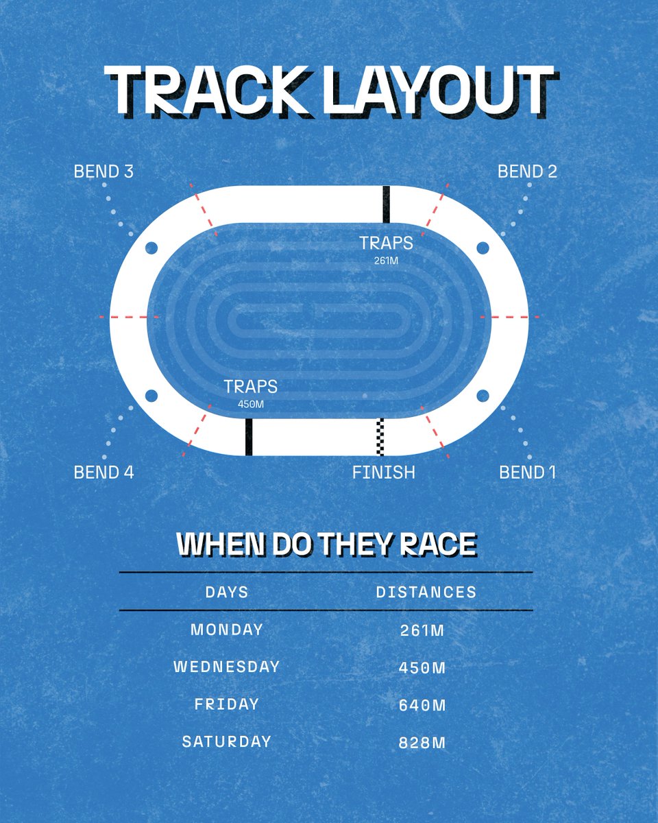 Towcester Racecourse Greyhounds tweet media