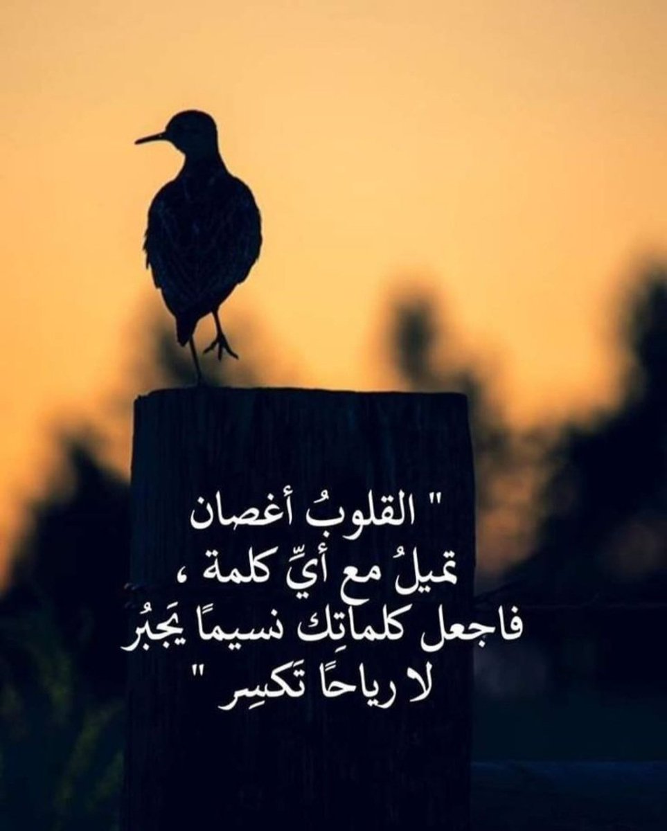 KfjMajed's tweet image. القلوب أغصان تميل مع أي كلمة ، فاجعل كلماتك نسيما يجبر لا رياحاً تكسر ...
#راقت_لــي 
#مساء_الخير_والسعاده