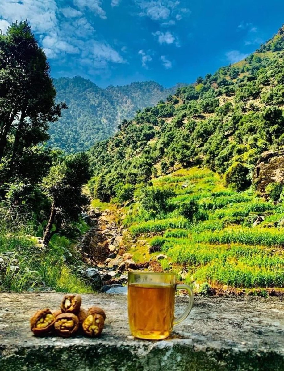 Shigal district of Kunar province 🌳
#Afghanistan