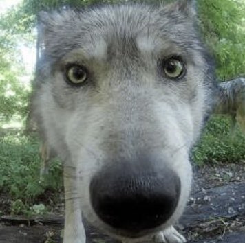 ☆ ash ☆ tweet media