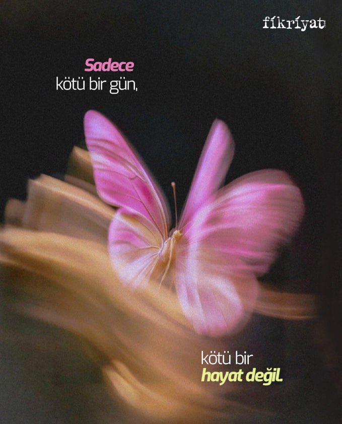 "Unutma ki bu sadece kötü bir gün, kötü bir hayat değil." 🪷