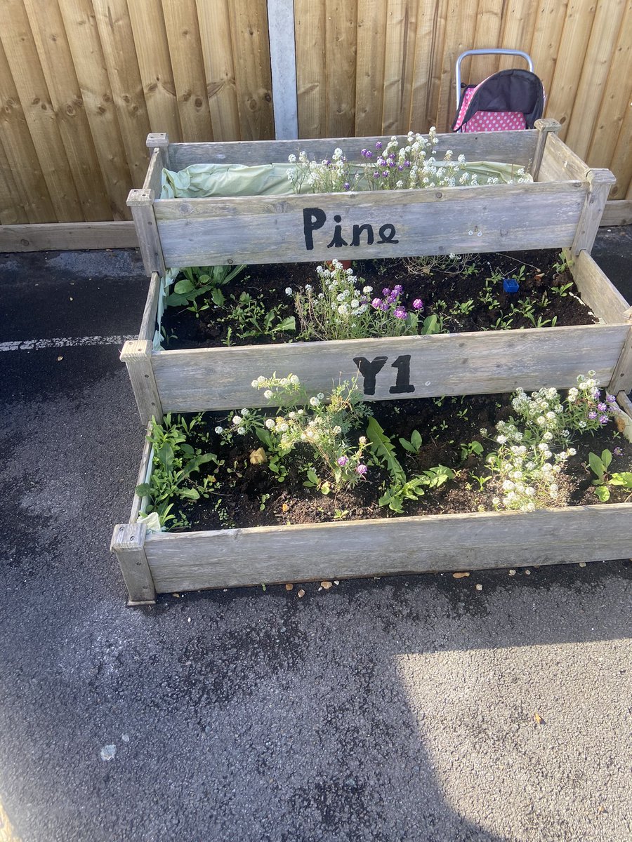 Kate Gallon tweet media