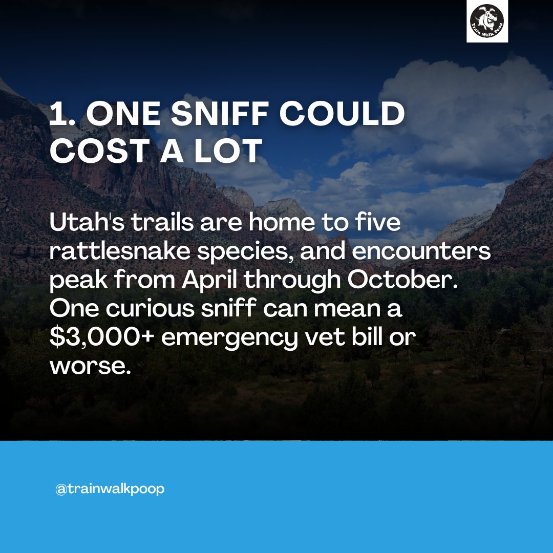 TrainWalkPoop's tweet image. The quickest way to ruin a hike is a snake bite 🐍 Rattlesnake aversion training teaches dogs to recognize and avoid them — quick, effective, and life-saving. Book before hiking season fills up!
📍 Serving in Salt Lake City, Utah 🐶
📞 Contact us: (801) 613-1364
🌐 Website:…