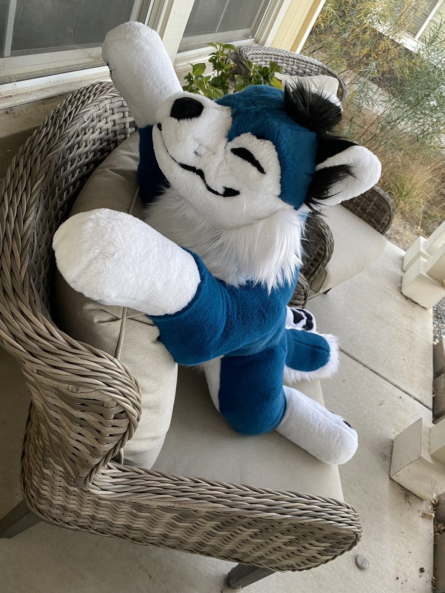 Our CUSTOM PLUSH AUCTION is ending in just 4 days! 

Don’t miss out on the opportunity to have your very own 6ft plush designed! 

Creep on into our telegram chat to participate! 🐾🐈‍⬛