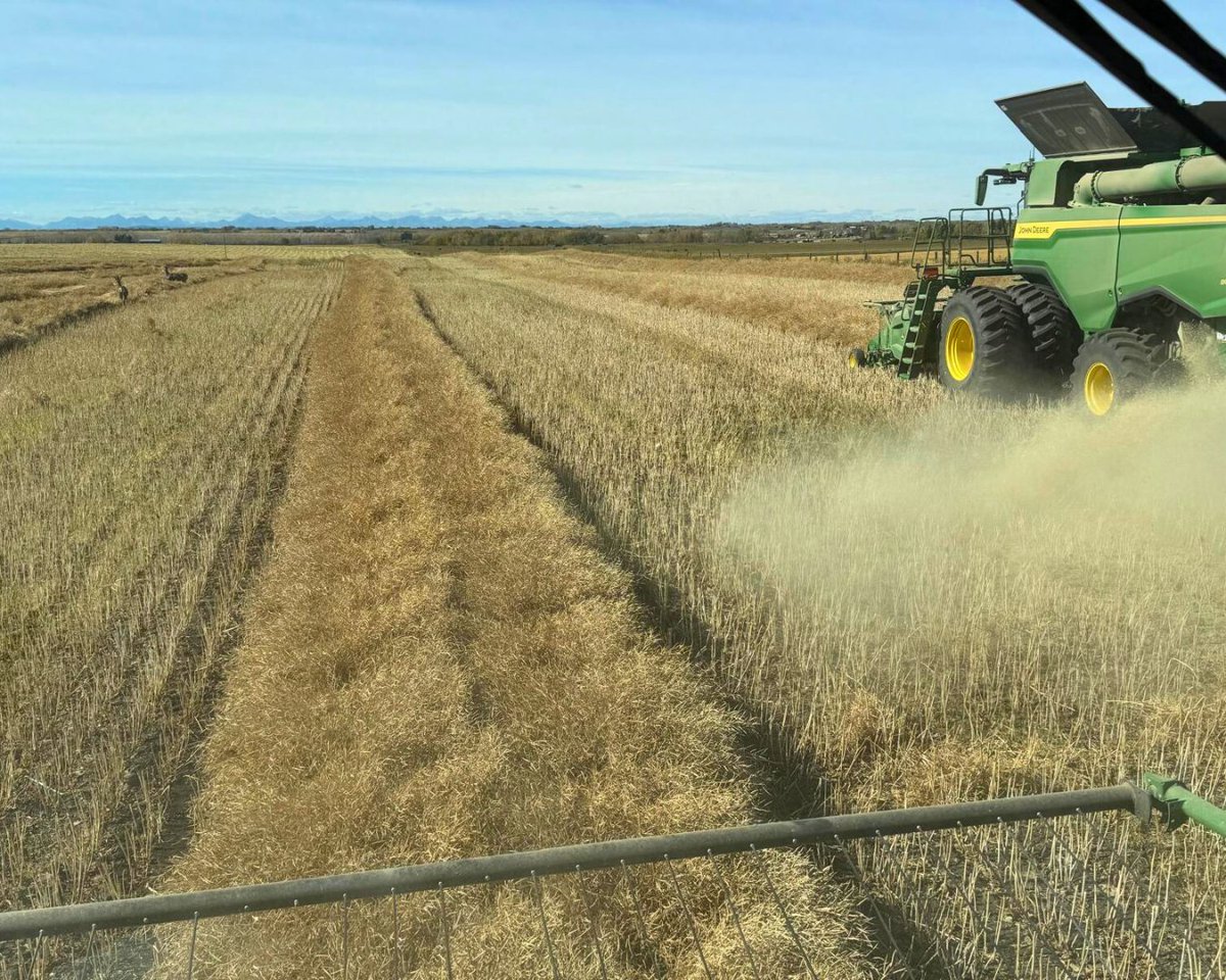 Deer checking out the Deeres. 🦌⛰️