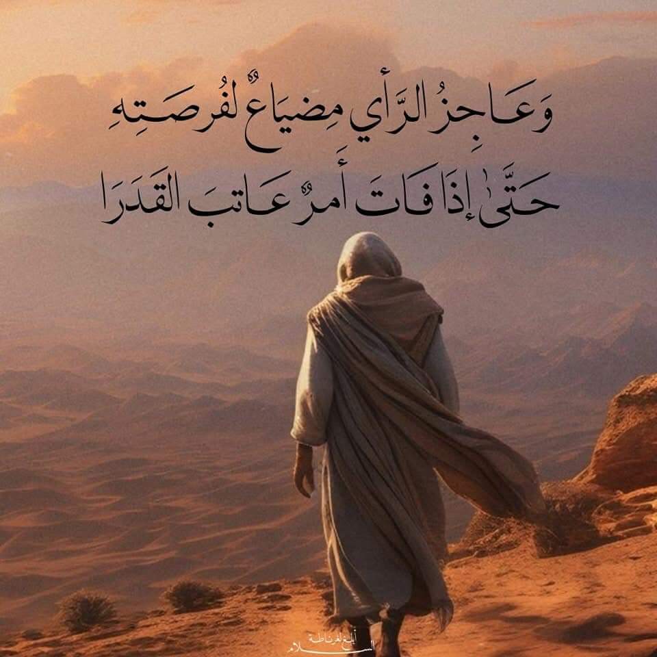 fos7a_f's tweet image. 