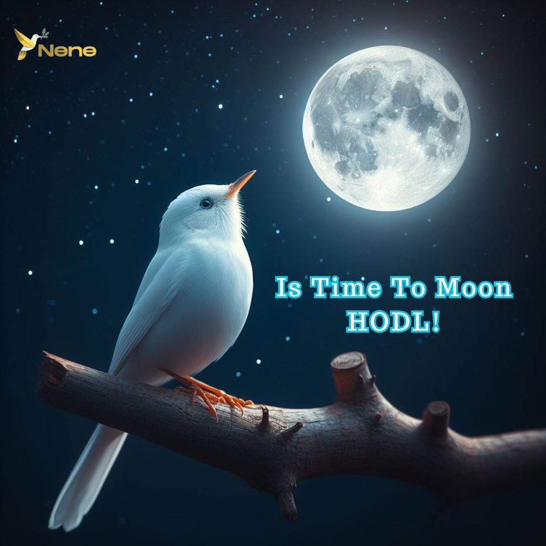 CrYpTo🕊️MuFaSa🐳🔶 tweet media