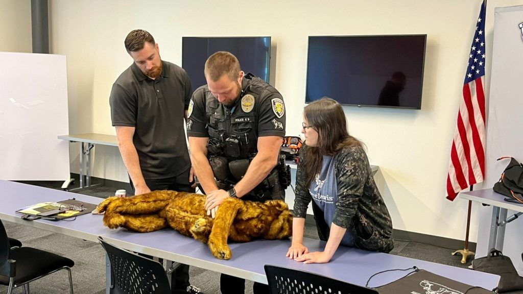 Working dog teams learn life-saving veterinary skills in recent training program veterinarypracticenews.com/working-dog-te…