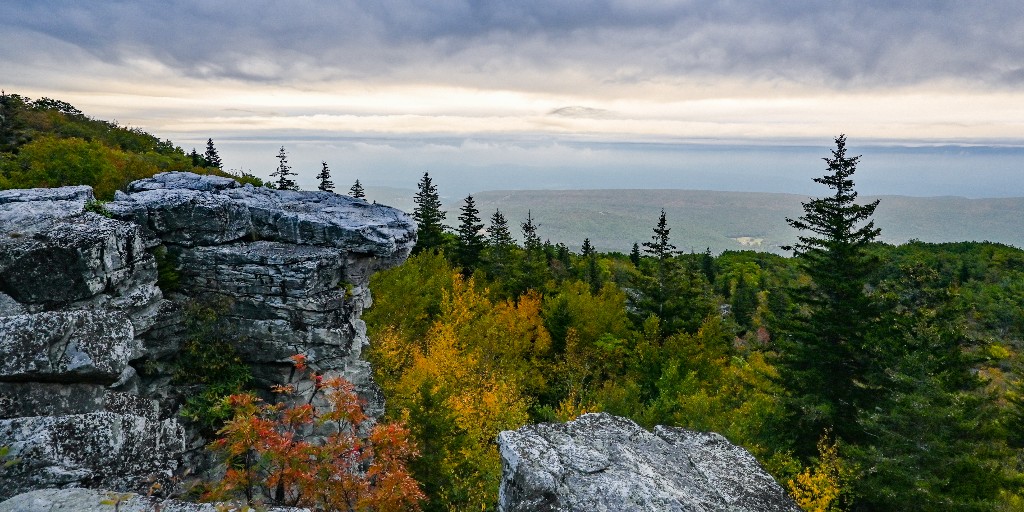 nature_wv's tweet image. #DYK 💭

✨ 85% of Americans say access to nature influences where they live.
✨ 75% of execs consider it when choosing business locations.

Conservation = community strength.

📸 Hannah Snyder/ TNC

#QualityOfLife #NatureForAll #TNCWV
