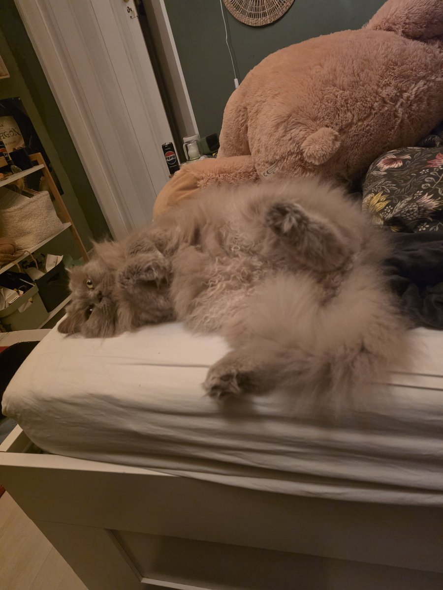 nuri 🤍 (jeno waist holder) tweet media