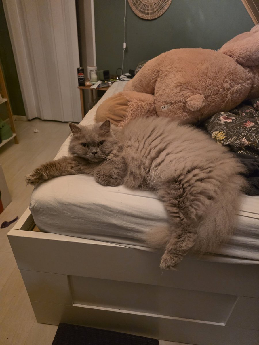 nuri 🤍 (jeno waist holder) tweet media