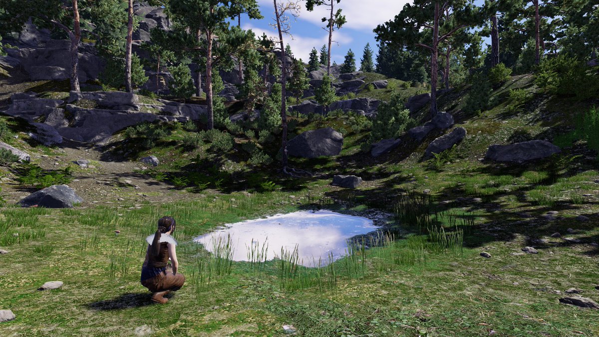 Cory Petkovsek 🎮 tweet media