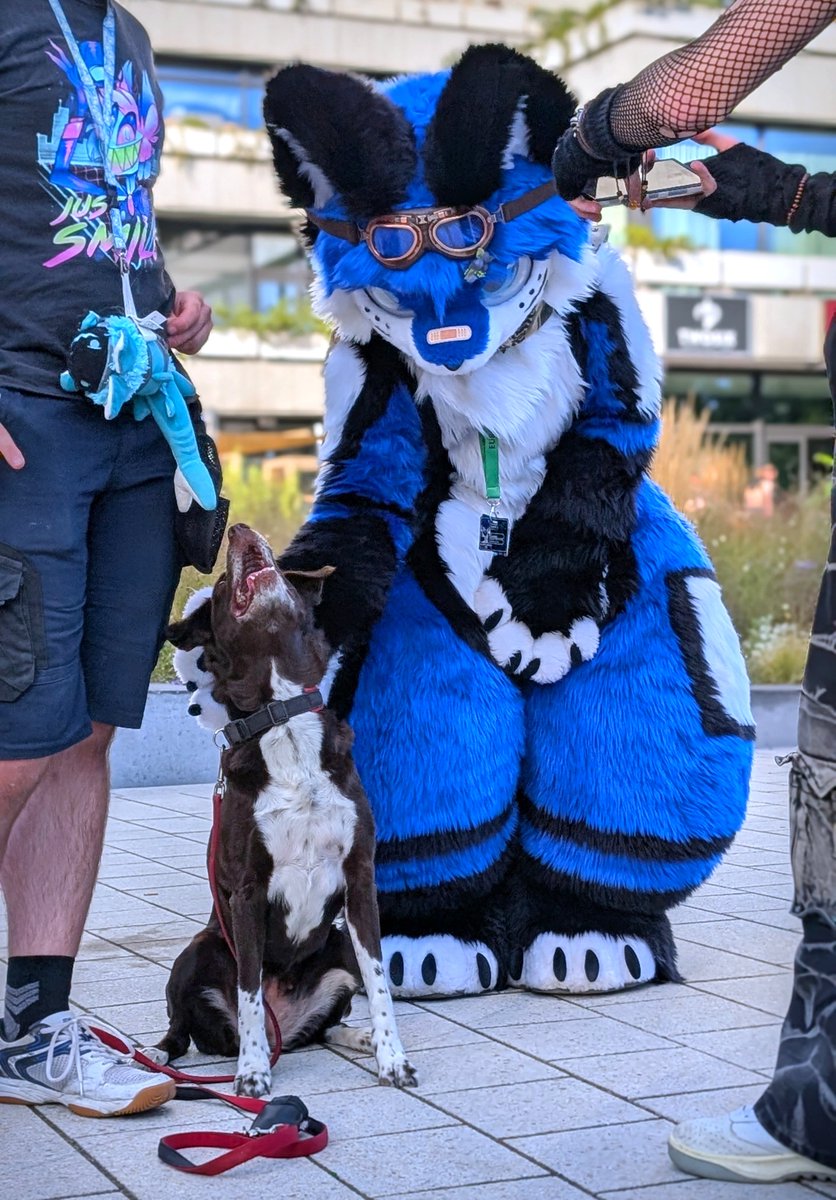 Swibby✨ tweet media