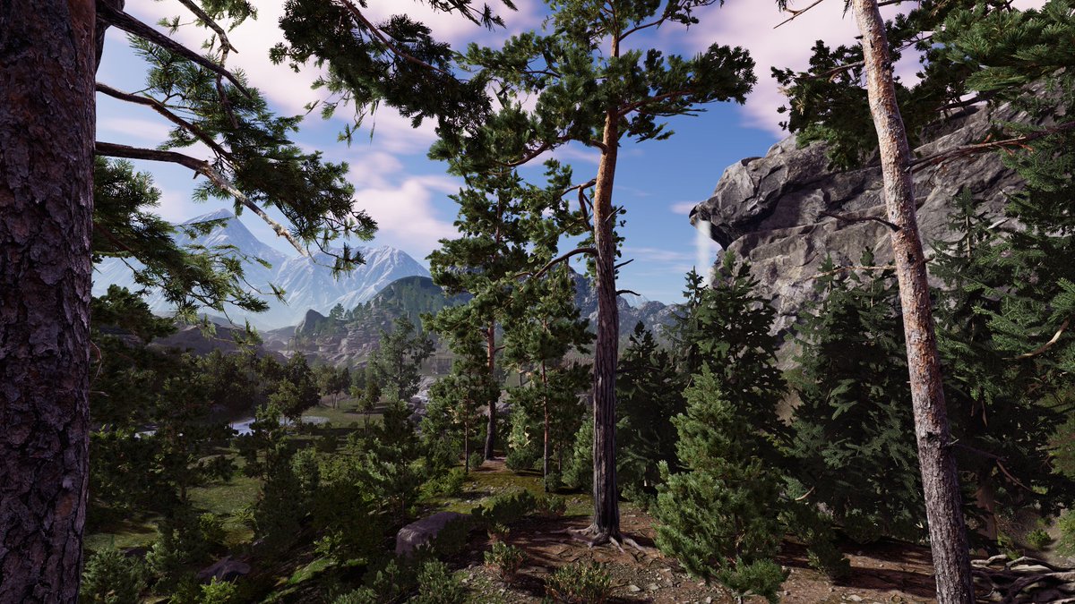 Cory Petkovsek 🎮 tweet media