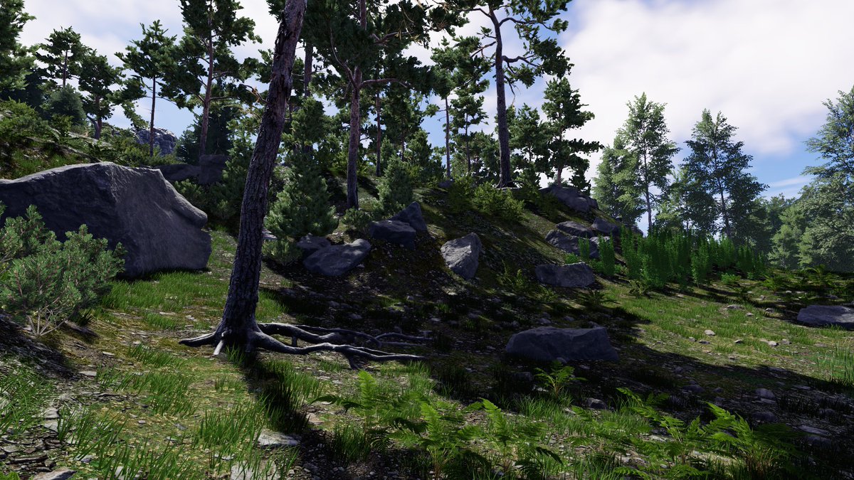 Cory Petkovsek 🎮 tweet media