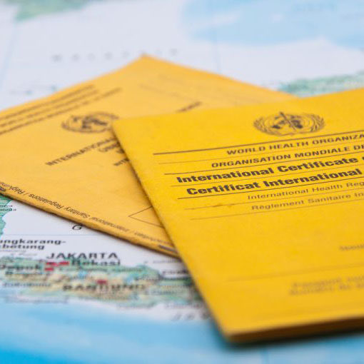 Ouverture d’un centre de vaccination internationale à <a href="/hopitaldepau/">Centre hospitalier de Pau</a>! Prise de rdv en ligne ouverte! Heureux de voir arriver ce nouveau service pour la population du Béarn!
<a href="/bayrou/">François Bayrou</a> <a href="/josypoueyto/">Josy Poueyto</a> <a href="/ARS_NAquit/">ARS Nouvelle-Aquitaine</a> <a href="/Prefet64/">Préfet des Pyrénées-Atlantiques</a> <a href="/ARS_NA_DD64/">ARS_NA_Pyrénées-Atlantiques</a> <a href="/ElleboodeB/">ELLEBOODE Benoit</a> 
ch-pau.fr/ouverture-dun-…