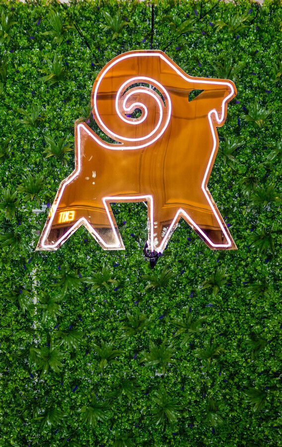 Rankings.io tweet media