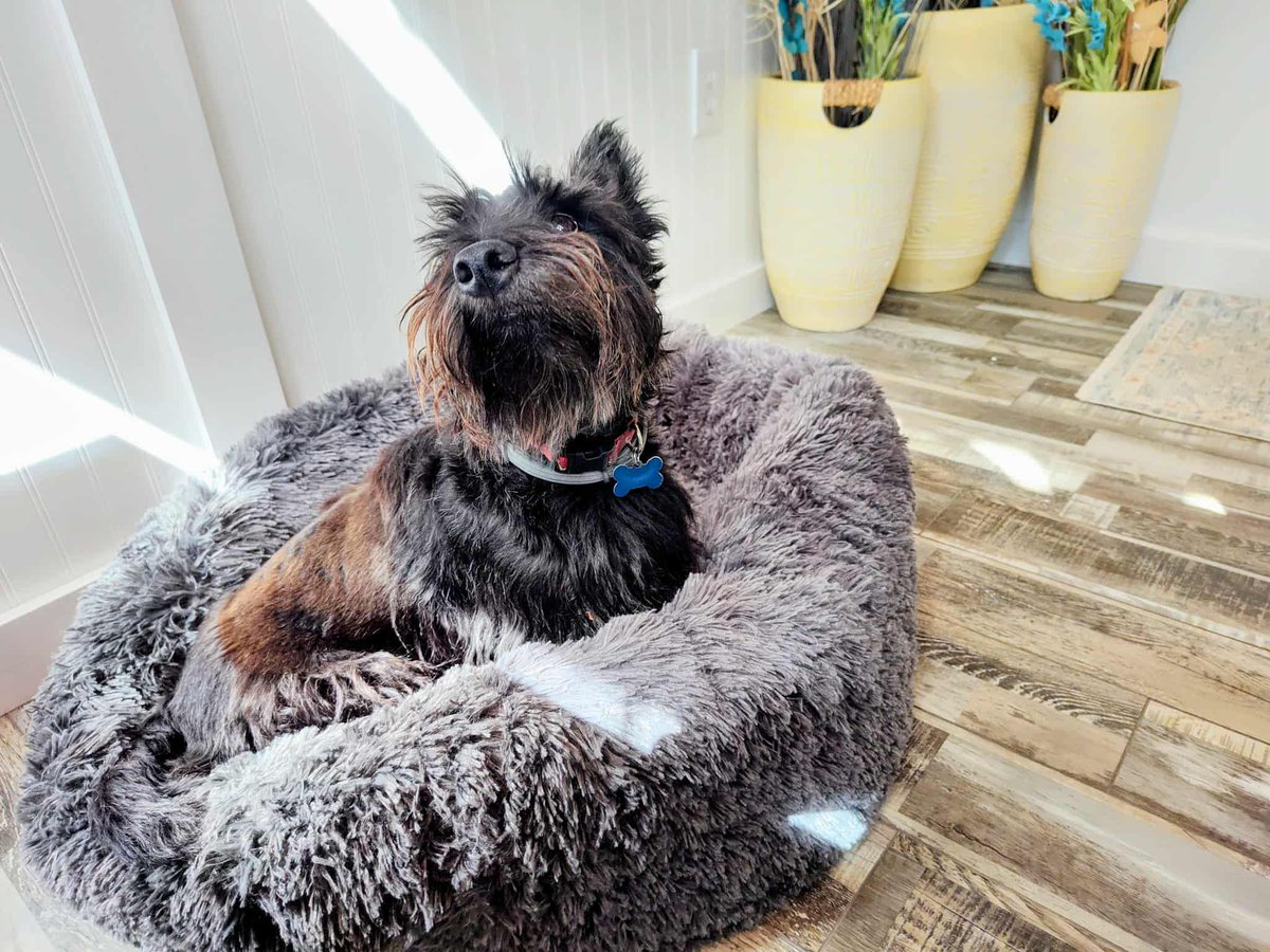 JacPoindexter tweet media