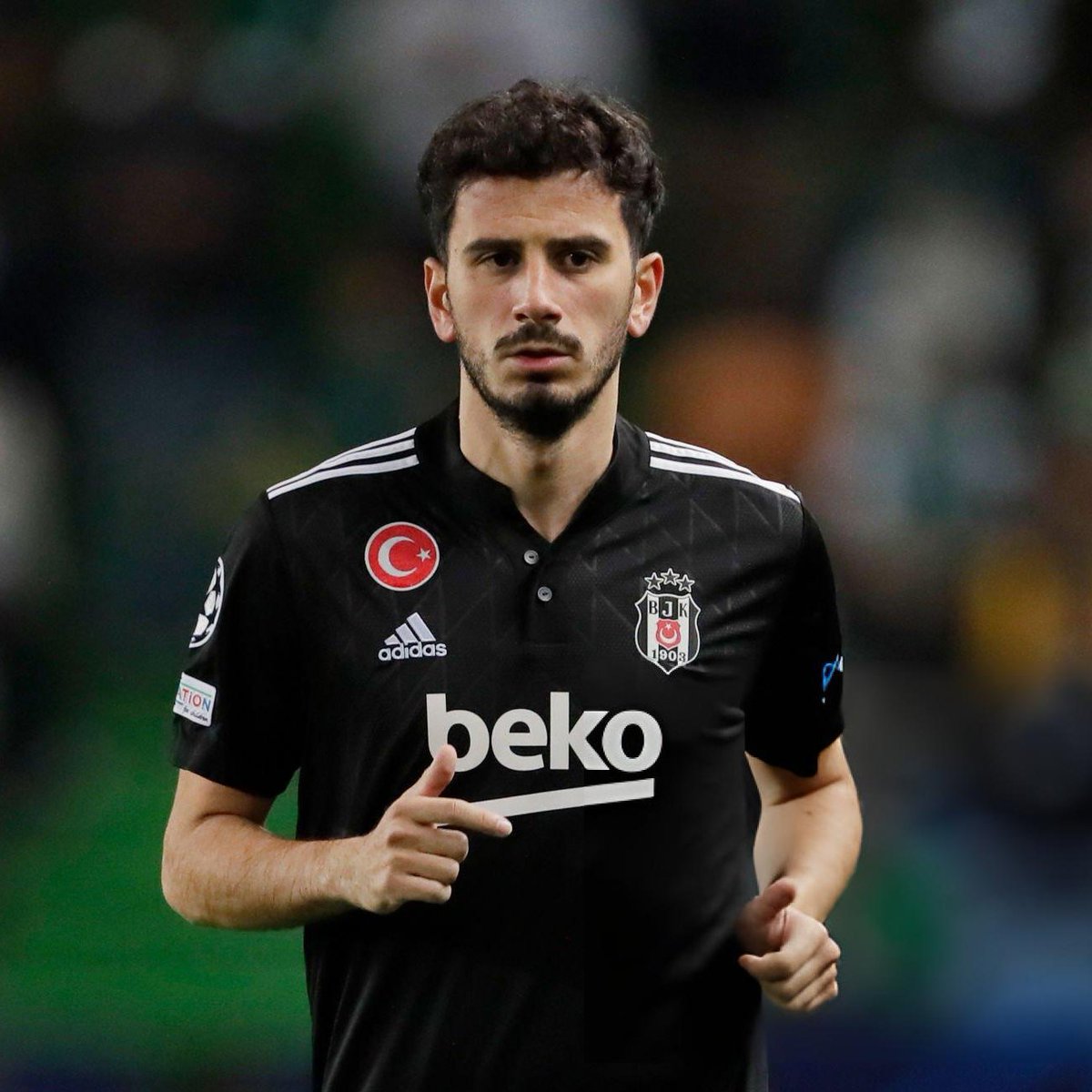 seviyor diyebilmek / seviyor diye bilmek