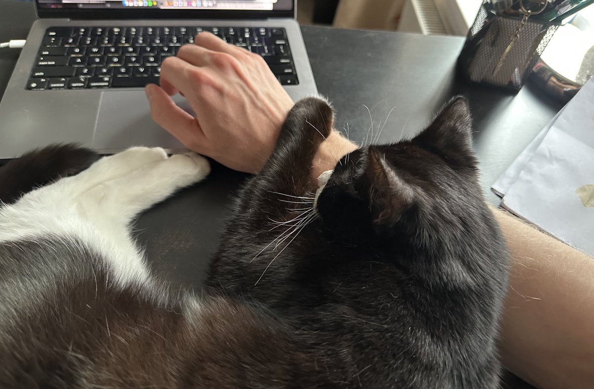 user_unity's tweet image. вот и кот кафка лапку подал, всё как в японской пословице