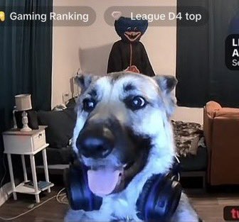 Kaba di herebé un ayaka ku mi a lubidá mi tabatin den freezer.