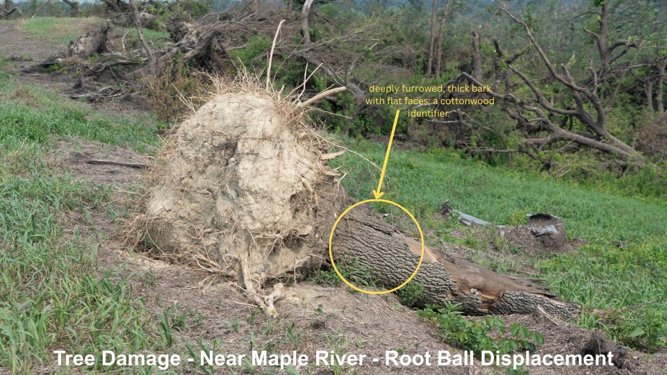 OldFoundWeatherNerd tweet media