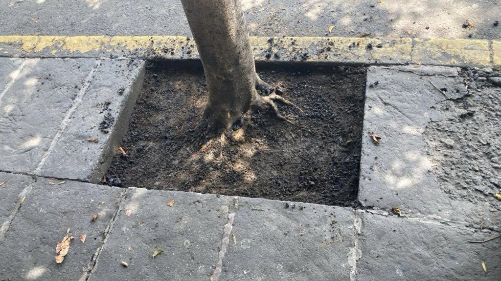 SuizoEnDF's tweet photo. Hoy la @SOBSECDMX lo resolvió y dejó todo limpio. Muchas gracias. https://t.co/VY6Fzbrz3A