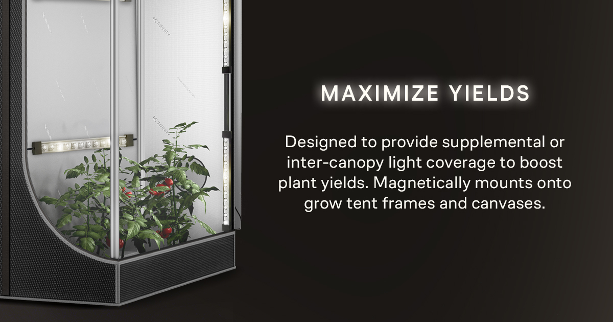 AcInfinityInc's tweet image. Light Every Corner of Your Grow 💡🍃 

Give your plants the light they deserve. The IONBEAM includes four LED bars, available in 11" and 16" sizes, featuring Samsung LM301H EVO diodes — perfect for inter-canopy or side lighting. Mount them magnetically inside your tent and…